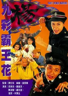 今日速览